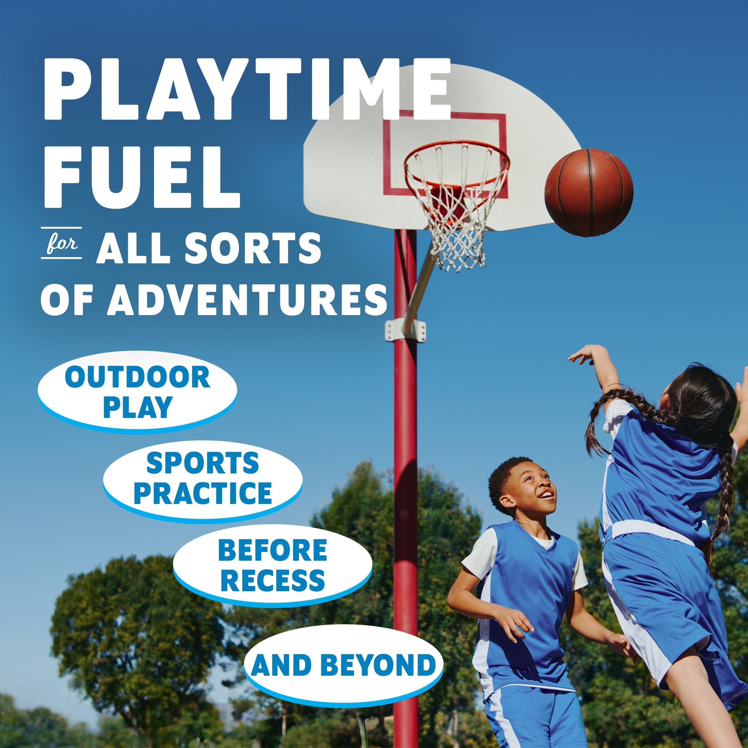 Zbar S'mores Soft-Baked Energy Snack Bars, Organic Granola Bars